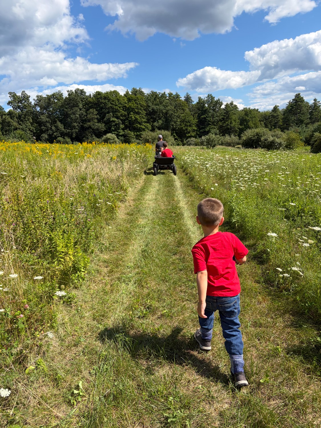 Walking the mowed path out to the hives through the wildflower meadow